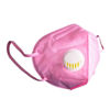 Picture of KN95 Protective Mask W/Filter