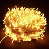Picture of 100 Led Light 10 Mts W/End Connector - Box Packing