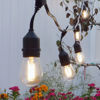 Picture of Hanging Outdoor Festoon Light Bulbs (10 Mts/10 Led Filament Bulbs)