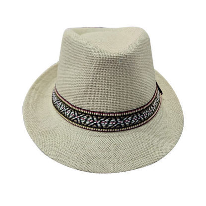 Picture of Panama Hat