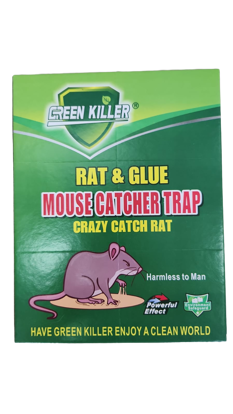 Picture of Mouse/Rat Glue Trap