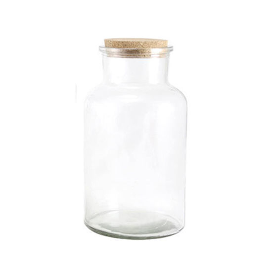 Picture of Bottle with Cork Lid 600ml (17cm)