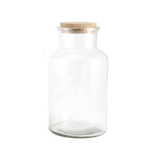 Picture of Bottle with Cork Lid - 600ml (height :17cm)