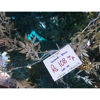 Picture of Xmas Silver Leaf Garland - 1m80