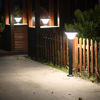 Picture of Solar Garden Light (Warm White)