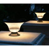 Picture of Solar Garden Light (Warm White)