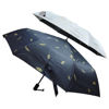 Picture of Automatic Umbrella