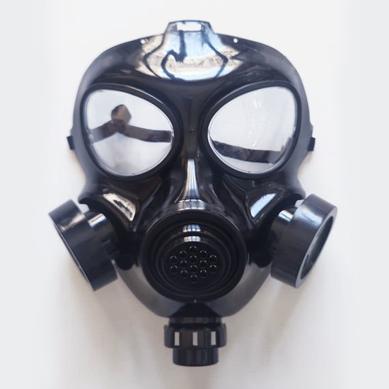 Picture of Halloween Mask (Toxic Gas)