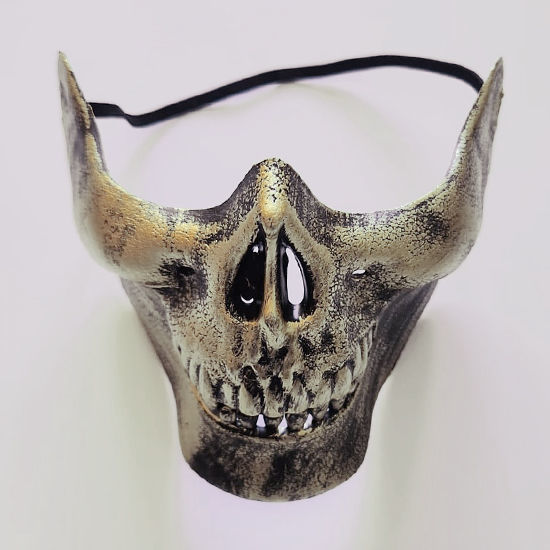 Picture of Halloween Mask (Skull)