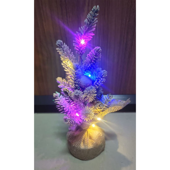 Picture of Xmas Tree W/Light