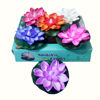 Picture of Led Light Lotus Flower W/Water Sensor 10cm (Battery Operated)