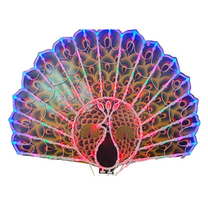Picture of Peacock Light - 50 x 40cm