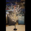 Picture of Tree Light - 120cm