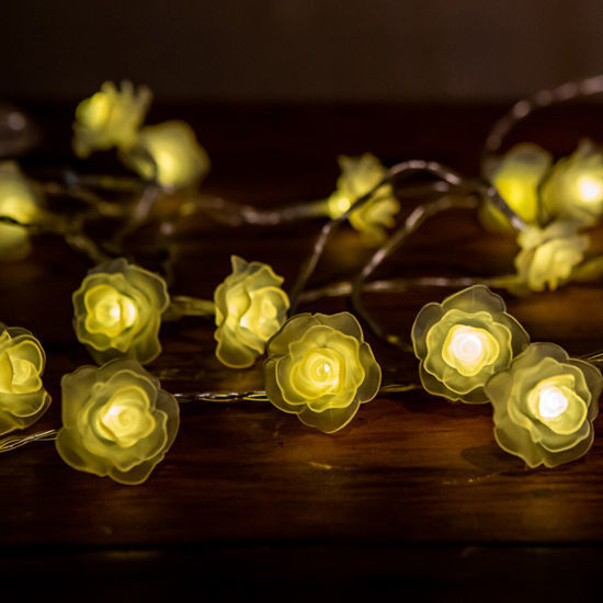 Picture of Solar Light Flowers (20 Lights - 4 mts)