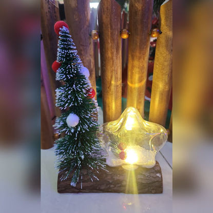 Picture of Xmas Tree & Star Light