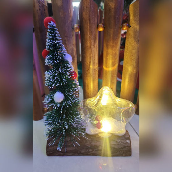 Picture of Xmas Tree & Star Light