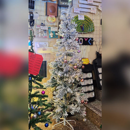 Picture of Xmas Snow Tree - 180cm