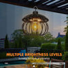 Picture of Pumpkin Style Solar Hanging Light W/R.Control (White)