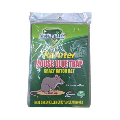 Picture of Rat/Mouse Glue Trap (12 x 17cm)