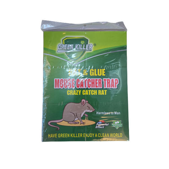 Picture of Rat/Mouse Glue Trap (25 x 33cm)