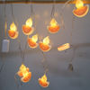 Picture of Divali Hanging Light 2mts W/Connector
