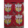 Picture of Divali Lantern W/Fringes