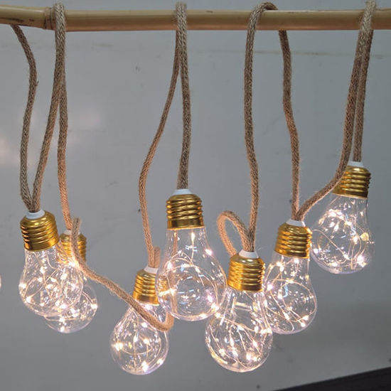 Picture of Festoon bulb with wire light (8 bulbs-5M)