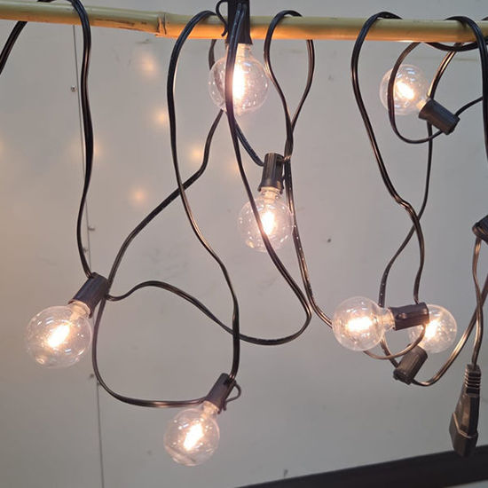 Picture of Festoon bulb with end connector (10 bulbs-5M)