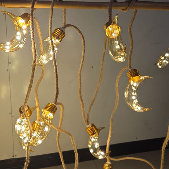 Picture of Moon festoon light (16 bulbs-7M)