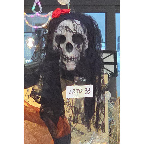 Picture of Halloween skull with veil